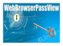 WebBrowserPassView